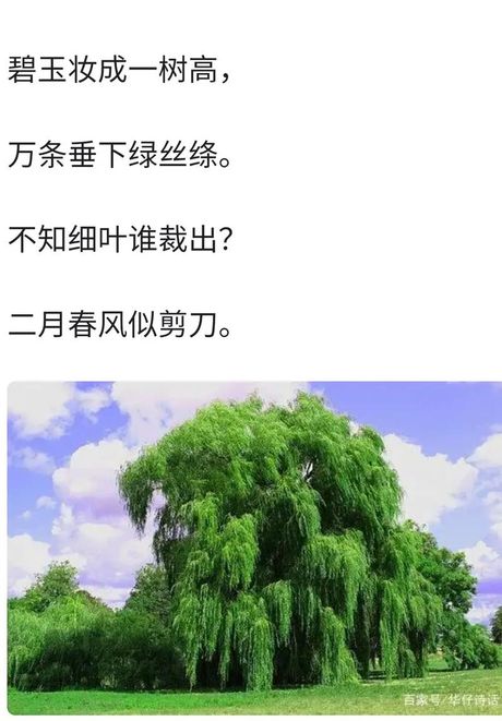 二月春风似剪刀的上一句，二月春风似剪刀，万物开始复苏