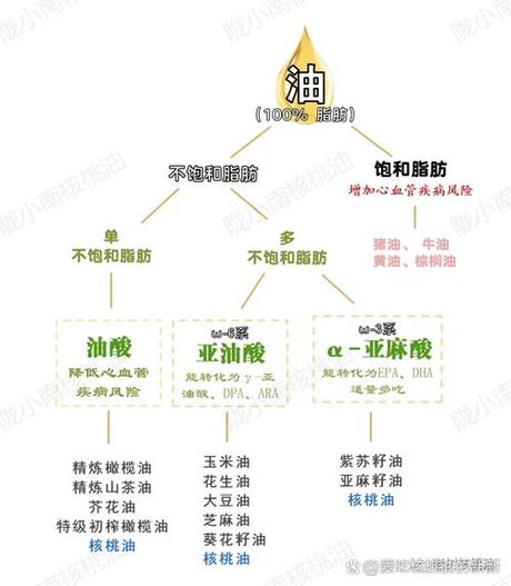 柴油密度，柴油密度及其重要性解析